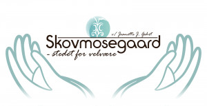 Book Skovmosegaard